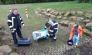 Dramatischer Einsatz für Feuerwehr und DRK. - Jörg Husemann/ DRK Dramatischer Einsatz für Feuerwehr und DRK. - Jörg Husemann/ DRK