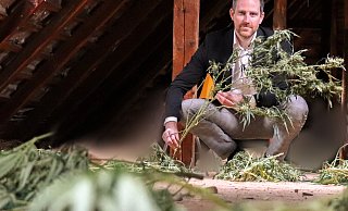 Solche Mengen Cannabis beschlagnahmt die Polizei Höxter nicht jeden Tag wie bei den Durchsuchungen in Steinheim-Vinsebeck und Willebadessen am Mittwoch. Das schaut sich dann auch der Kripo-Chef Daniel Vogel höchstpersönlich an. - Polizei Höxter Solche Mengen Cannabis beschlagnahmt die Polizei Höxter nicht jeden Tag wie bei den Durchsuchungen in Steinheim-Vinsebeck und Willebadessen am Mittwoch. Das schaut sich dann auch der Kripo-Chef Daniel Vogel höchstpersönlich an. - Polizei Höxter