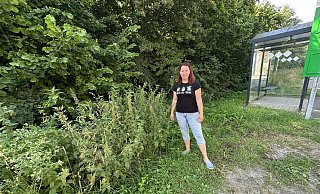 Rund um die Bushaltestelle ist gemäht, daneben sprießt das Unkraut: Mittlerweile ist "Am Silberbach" aber gemäht worden, sagt Sarah Jäckel. - Ralf T. Mischer Rund um die Bushaltestelle ist gemäht, daneben sprießt das Unkraut: Mittlerweile ist "Am Silberbach" aber gemäht worden, sagt Sarah Jäckel. - Ralf T. Mischer