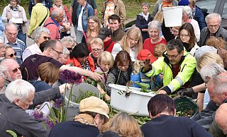 Ein großer Ansturm auf die kostenlosen Blumenzwiebeln. - Thomas Kube Ein großer Ansturm auf die kostenlosen Blumenzwiebeln. - Thomas Kube