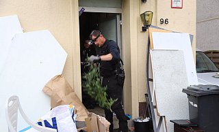 Die Bielefelder Polizei musste unzählige Marihuana-Pflanzen nach draußen tragen. - Charlotte Mahncke Die Bielefelder Polizei musste unzählige Marihuana-Pflanzen nach draußen tragen. - Charlotte Mahncke