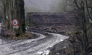 Die Wege am Parkplatz Durbeke laden derzeit nicht zum Wandern ein. - Kurt Blaschke Die Wege am Parkplatz Durbeke laden derzeit nicht zum Wandern ein. - Kurt Blaschke