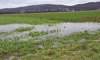 Unter anderem in Stockhausen laufen die Felder voll. Nach anhaltendem Regen gab es eine kleine Verschnaufpause. Die Böden haben sich allerdings völlig mit Wasser vollgesogen. Starke, anhaltende Regenschauer können die Böden jetzt nicht mehr fassen. - Sigrid Dittmann Unter anderem in Stockhausen laufen die Felder voll. Nach anhaltendem Regen gab es eine kleine Verschnaufpause. Die Böden haben sich allerdings völlig mit Wasser vollgesogen. Starke, anhaltende Regenschauer können die Böden jetzt nicht mehr fassen. - Sigrid Dittmann