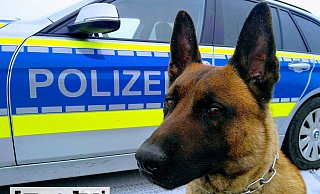 Ein 32-Jähriger versucht, einen Polizeibeamten anzugreifen - und bekommt es mit einem Polizeihund zu tun. - Symbolfoto: Polizei Ein 32-Jähriger versucht, einen Polizeibeamten anzugreifen - und bekommt es mit einem Polizeihund zu tun. - Symbolfoto: Polizei