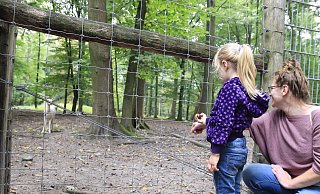 Wenn das Füttern sein muss, dann mit Dingen, die die Tiere im Damwildgehege nicht krank macht: Marie-Sophie (3) und Mama Jessica füttern die Tiere etwa mit selbst gesammelten Kastanien. - Dana Thoeren Wenn das Füttern sein muss, dann mit Dingen, die die Tiere im Damwildgehege nicht krank macht: Marie-Sophie (3) und Mama Jessica füttern die Tiere etwa mit selbst gesammelten Kastanien. - Dana Thoeren