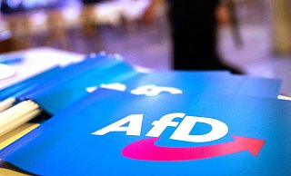 In der neuen Ausgabe vom "NRW Check" kommt die AfD auf 13 Prozent im Land. - Daniel Karmann In der neuen Ausgabe vom "NRW Check" kommt die AfD auf 13 Prozent im Land. - Daniel Karmann