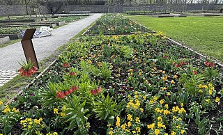 Im Remtergarten in Höxter erwarten die Besucher blühende Landschaften. - Ralf T. Mischer Im Remtergarten in Höxter erwarten die Besucher blühende Landschaften. - Ralf T. Mischer