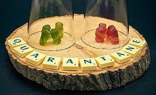 Behörden haben einen Mann aus dem Kreis Höxter in Quarantäne geschickt. Der fordert eine Entschädigung für den Verdienstausfall und klagt darauf jetzt vor dem Verwaltungsgericht. - Symbolfoto: Pixabay Behörden haben einen Mann aus dem Kreis Höxter in Quarantäne geschickt. Der fordert eine Entschädigung für den Verdienstausfall und klagt darauf jetzt vor dem Verwaltungsgericht. - Symbolfoto: Pixabay