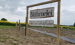 Das Schild steht gut sichtbar am Anfang des Feldes und kann auch von der Herforder Straße gesichtet werden. - Danielle Dörsing Das Schild steht gut sichtbar am Anfang des Feldes und kann auch von der Herforder Straße gesichtet werden. - Danielle Dörsing