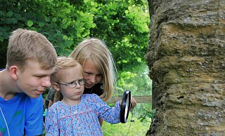 Noch etwas skeptisch blickt die vierjährige Emma aus Bellersen auf den Stein mit den 220 Millionen Jahre alten Tieren, der Teil der Entdeckerrallye in Oeynhausen ist. Ihre Brüder Joschua und Jona sind fasziniert. - David Schellenberg Noch etwas skeptisch blickt die vierjährige Emma aus Bellersen auf den Stein mit den 220 Millionen Jahre alten Tieren, der Teil der Entdeckerrallye in Oeynhausen ist. Ihre Brüder Joschua und Jona sind fasziniert. - David Schellenberg