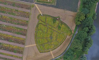Ein neues Labyrinth ist in die Blühwiese auf dem Areal der LGS gemäht worden – in Form einer Eichel wegen der Eichenallee. - LGS Ein neues Labyrinth ist in die Blühwiese auf dem Areal der LGS gemäht worden – in Form einer Eichel wegen der Eichenallee. - LGS
