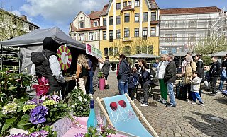 Kötter's Gewächshaus hat den Alten Markt zum Herforder Frühling in eine Blumen- und Entspannungsoase verwandelt. Am Glücksrad können Besucherinnen und Besucher unter anderem einen Pflanzengutschein gewinnen. Das versuchen viele. - Natalie Gottwald Kötter's Gewächshaus hat den Alten Markt zum Herforder Frühling in eine Blumen- und Entspannungsoase verwandelt. Am Glücksrad können Besucherinnen und Besucher unter anderem einen Pflanzengutschein gewinnen. Das versuchen viele. - Natalie Gottwald