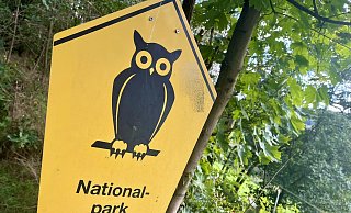 Die Diskussion um einen Nationalpark Egge wird 2023 angestoßen und wird auch im neuen Jahr noch für Gesprächsstoff sorgen. - Jens Reddeker,Jens Reddeker,Jens Reddeker Die Diskussion um einen Nationalpark Egge wird 2023 angestoßen und wird auch im neuen Jahr noch für Gesprächsstoff sorgen. - Jens Reddeker,Jens Reddeker,Jens Reddeker