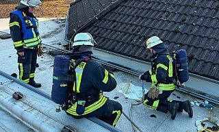 Die Feuerwehr auf dem Dach der Grundschule. - FFW Brakel Die Feuerwehr auf dem Dach der Grundschule. - FFW Brakel