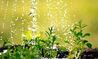 Eine ortsnahe Versickerung sei wichtig, sagen die Grünen. - Symbolfoto: Pixabay Eine ortsnahe Versickerung sei wichtig, sagen die Grünen. - Symbolfoto: Pixabay
