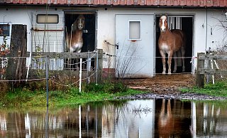 Die obersten Bodenschichten im Kreis Gütersloh sind durch den Dauerregen komplett gesättigt. Die obersten Bodenschichten im Kreis Gütersloh sind durch den Dauerregen komplett gesättigt.