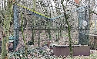 Die Falle ist nach Angaben der Tierschützer rund fünf Kubikmeter groß. Als Köder für die Greifvögel wurden auch Schlachtabfälle verwendet. - Komitee gegen den Vogelmord Bonn Die Falle ist nach Angaben der Tierschützer rund fünf Kubikmeter groß. Als Köder für die Greifvögel wurden auch Schlachtabfälle verwendet. - Komitee gegen den Vogelmord Bonn