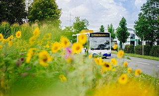 Die Padersprinter-Busse fahren wieder normal. - Besim Mazhiqi Die Padersprinter-Busse fahren wieder normal. - Besim Mazhiqi