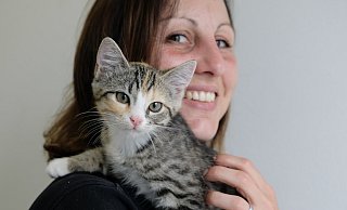 Der kleine grau mit orange getigerte Kater wurde "Mazda" getauft, ist zwölf Wochen alt und jetzt in der Obhut von Tierpflegerin Stefanie Schreiber im Tierheim Lübbecke. - Heike von Schulz Der kleine grau mit orange getigerte Kater wurde "Mazda" getauft, ist zwölf Wochen alt und jetzt in der Obhut von Tierpflegerin Stefanie Schreiber im Tierheim Lübbecke. - Heike von Schulz