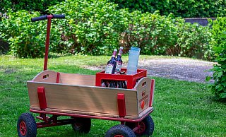 Für viele gehört am Vatertag eine Bollerwagen-Tour dazu. - Pixabay (Symbolbild) Für viele gehört am Vatertag eine Bollerwagen-Tour dazu. - Pixabay (Symbolbild)