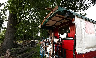 Der urige Planwagen ist liebevoll hergerichtet. Über dem Kutschbock prangen Geweihe und ein Hufeisen, vorne und hinten ist der Wagen mit gewundenen Ästen versehen. - Ilka Gülker Der urige Planwagen ist liebevoll hergerichtet. Über dem Kutschbock prangen Geweihe und ein Hufeisen, vorne und hinten ist der Wagen mit gewundenen Ästen versehen. - Ilka Gülker