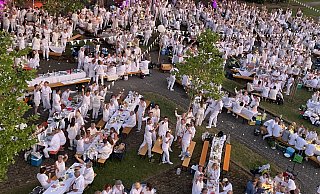 Das Dinner in Weiß wurde in ein Meer aus Wunderkerzen getaucht. - Carola Drabon Das Dinner in Weiß wurde in ein Meer aus Wunderkerzen getaucht. - Carola Drabon