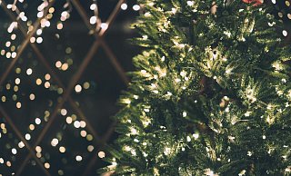 Ein 20-Jähriger kassierte jetzt kurz vorm Fest eine Strafanzeige. - Symbolbild: Unsplash Ein 20-Jähriger kassierte jetzt kurz vorm Fest eine Strafanzeige. - Symbolbild: Unsplash