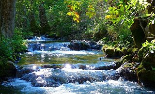 Das Naturparadies kennen viele Bielefelder nicht. - Symbolfoto Das Naturparadies kennen viele Bielefelder nicht. - Symbolfoto