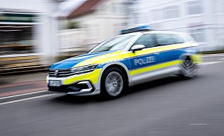 Zwei Personen wurden bei einem Wildunfall verletzt. - dpa Zwei Personen wurden bei einem Wildunfall verletzt. - dpa