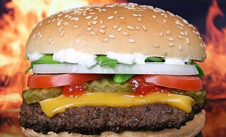 In Paderborn gibt es aktuell keine Schnellrestaurants der bekannten Fast-Food-Ketten. - Pixabay (Themenbild) In Paderborn gibt es aktuell keine Schnellrestaurants der bekannten Fast-Food-Ketten. - Pixabay (Themenbild)