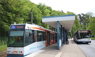 Die Linie 1 soll von der Wendeschleife in Senne nach Sennestadt fahren. Die Buslinie 135 könnte dann wegfallen. Foto: Silke Kröger - Silke Kröger Die Linie 1 soll von der Wendeschleife in Senne nach Sennestadt fahren. Die Buslinie 135 könnte dann wegfallen. Foto: Silke Kröger - Silke Kröger