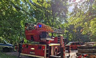 Die Feuerwehr hat den 54-jährigen Mann aus Lübbecke gerettet und holt aktuell (16.45 Uhr) den Segelschirm aus der Baumkrone. - Ilja Regier Die Feuerwehr hat den 54-jährigen Mann aus Lübbecke gerettet und holt aktuell (16.45 Uhr) den Segelschirm aus der Baumkrone. - Ilja Regier