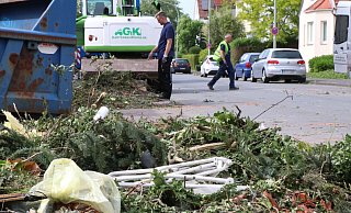 An den Straßen Paderborns sind noch die Spuren des Tornados noch sichtbar. Die Entsorgung schreitet jedoch gut voran. - Holger Kosbab An den Straßen Paderborns sind noch die Spuren des Tornados noch sichtbar. Die Entsorgung schreitet jedoch gut voran. - Holger Kosbab