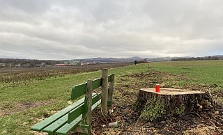 Die Kastanie stand direkt hinter der Bank an dem Feldweg in Bad Holzhausen, der Holunder etwas weiter hinten. - Sandra Spieker Die Kastanie stand direkt hinter der Bank an dem Feldweg in Bad Holzhausen, der Holunder etwas weiter hinten. - Sandra Spieker