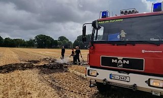 Nur eine kleine Fläche war diesmal von dem Brand am Donnerstag betroffen. - Feuerwehr Rahden Nur eine kleine Fläche war diesmal von dem Brand am Donnerstag betroffen. - Feuerwehr Rahden