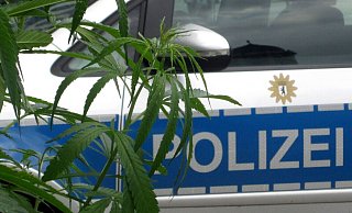 Die Angabe des 57-Jährigen, er nehme Marihuana, um seine chronischen Schmerzen zu mildern, machte die Beamten aufmerksam (Symbolbild). - picture alliance / XAMAX Die Angabe des 57-Jährigen, er nehme Marihuana, um seine chronischen Schmerzen zu mildern, machte die Beamten aufmerksam (Symbolbild). - picture alliance / XAMAX