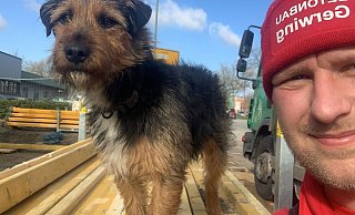 Hund und Herrchen sind happy: Bereits am Samstag, 17. Februar, - einen Tag nach dem Wiederauffinden des Vierbeiners - hat Betonbauer Daniel Tietz seinen Terriermischling "Charlie" wieder mit zur Arbeit genommen. - privat Hund und Herrchen sind happy: Bereits am Samstag, 17. Februar, - einen Tag nach dem Wiederauffinden des Vierbeiners - hat Betonbauer Daniel Tietz seinen Terriermischling "Charlie" wieder mit zur Arbeit genommen. - privat