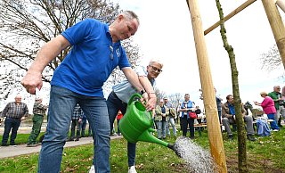Königspaar Dieter und Martina Kuhlebrock gießen die gepflanzte Stileiche am Floßplatz an. - Thomas Kube Königspaar Dieter und Martina Kuhlebrock gießen die gepflanzte Stileiche am Floßplatz an. - Thomas Kube
