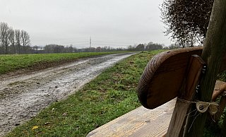 Der gesuchte Täter ließ die 24-Jährige auf einem der Felder an der Straße Untere Wende bewusstlos liegen. Gut möglich, dass er dachte, sein Opfer wäre bereits tot. Foto: Jens Reichenbach - Jens Reichenbach Der gesuchte Täter ließ die 24-Jährige auf einem der Felder an der Straße Untere Wende bewusstlos liegen. Gut möglich, dass er dachte, sein Opfer wäre bereits tot. Foto: Jens Reichenbach - Jens Reichenbach