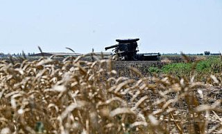Ein ausgebrannter Mähdrescher steht auf einem von Feuer zerstörten Getreidefeld. - dpa Ein ausgebrannter Mähdrescher steht auf einem von Feuer zerstörten Getreidefeld. - dpa