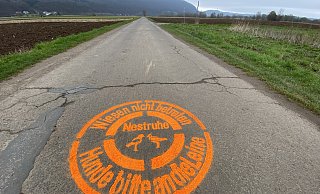 Die Stadtwerke haben zusammen mit der AG Natur die Vogelschablonen erneuert. Nun bleibt die Hoffnung, dass Hundebesitzer ihre Tiere auch wirklich anleinen. - Nicole Sielermann Die Stadtwerke haben zusammen mit der AG Natur die Vogelschablonen erneuert. Nun bleibt die Hoffnung, dass Hundebesitzer ihre Tiere auch wirklich anleinen. - Nicole Sielermann