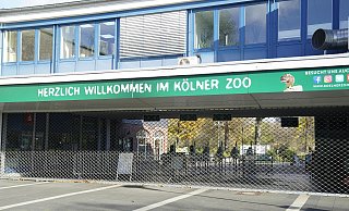 Der Kölner Zoo, hier ein Archivbild aus 2020. - picture alliance / Flashpic Der Kölner Zoo, hier ein Archivbild aus 2020. - picture alliance / Flashpic