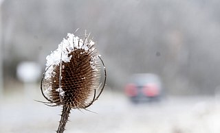 Ab Freitagabend soll es in Ostwestfalen-Lippe wieder schneien. - dpa Ab Freitagabend soll es in Ostwestfalen-Lippe wieder schneien. - dpa