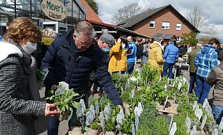 Der Benkhauser Bauernmarkt bietet bietet den Besuchern unter anderem ein vielfältiges Angebot an Kräuterpflanzen und jungen Gemüsepflanzen sowie Frühlingsblumen. - Klaus Frensing Der Benkhauser Bauernmarkt bietet bietet den Besuchern unter anderem ein vielfältiges Angebot an Kräuterpflanzen und jungen Gemüsepflanzen sowie Frühlingsblumen. - Klaus Frensing