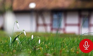 Das Wohnhaus der Witwe befand sich abgelegen auf einem Hof am Rande der Bielefelder Ortsgrenze. - Symbolfoto: Pixabay / Creative Commons Das Wohnhaus der Witwe befand sich abgelegen auf einem Hof am Rande der Bielefelder Ortsgrenze. - Symbolfoto: Pixabay / Creative Commons