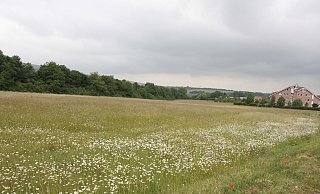 Auf dieser Wiese am Almehang könnten Photovoltaik-Anlagen gebaut werden. Links hinter den Büschen verläuft die A33. - Uwe Müller Auf dieser Wiese am Almehang könnten Photovoltaik-Anlagen gebaut werden. Links hinter den Büschen verläuft die A33. - Uwe Müller