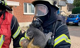 Feuerwehreinsatz in Bielefeld. - Feuerwehr Bielefeld Feuerwehreinsatz in Bielefeld. - Feuerwehr Bielefeld