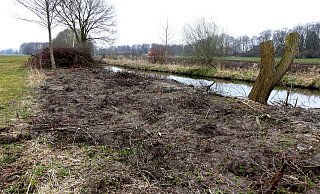 Uferbegleitend: Der strittige Streifen zieht sich direkt entlang der Dalke, nicht weit entfernt von Ruthmanns Mühle. - Ludger Osterkamp Uferbegleitend: Der strittige Streifen zieht sich direkt entlang der Dalke, nicht weit entfernt von Ruthmanns Mühle. - Ludger Osterkamp