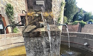 Das ist kein Trinkwasser: Darauf weist auch ein kleines Schild am Brunnen am Graf-Dodiko-Weg hin. - Simone Flörke Das ist kein Trinkwasser: Darauf weist auch ein kleines Schild am Brunnen am Graf-Dodiko-Weg hin. - Simone Flörke