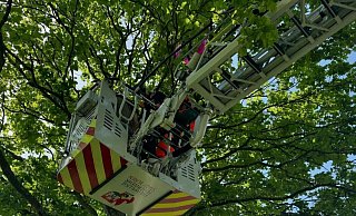 Ein Fallschirmspringer hatte sich bei Büren mit seinem Schirm in einer Baumkrone verfangen. - Freiwillige Feuerwehr Büren Ein Fallschirmspringer hatte sich bei Büren mit seinem Schirm in einer Baumkrone verfangen. - Freiwillige Feuerwehr Büren